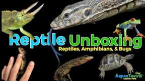 Reptile Unboxing‼️