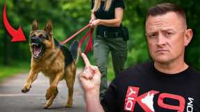 3 Mistakes That Reinforce Your Dog's Reactivity & Aggression