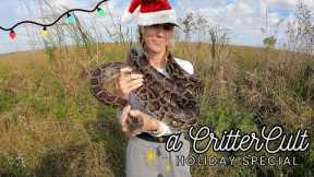 Catching Pythons in the Everglades for Christmas!