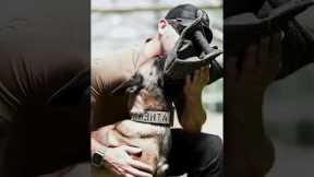 Military dog training#dog#dogsoftiktok#dogs#dogstraining#solider