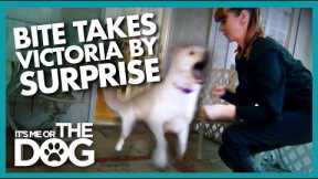 Surprise Attack During Training Shocks Victoria | It's Me or the Dog