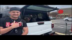 Live Dog Training in Public Q&A