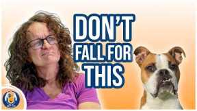 10 Misleading Dog Training Arguments #319 #podcast
