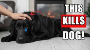 7 Deadly Winter Mistake That KILL Your Dog's Health (Don't Ignore #5)