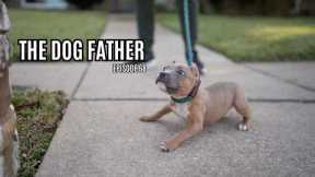 The Dog Father: Love's First Walk (Ep. 68)