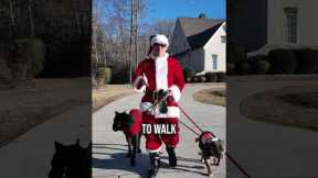 Santa's Secret To Calm Walks Revealed!