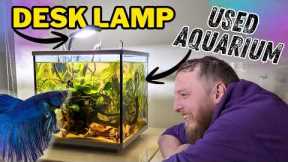 How to Set Up a Cheap Betta Fish Aquarium. (Set Up Masterclass)