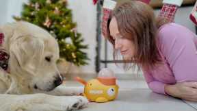 Funny Attempts to Teach My Dog How to Push a Button