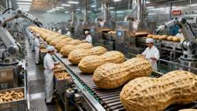 Inside a Crunchy Peanut Butter Factory: How They Make the Perfect Crunch (Full Process)