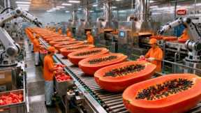 Inside a Modern Papaya Factory: From Farm to Dessert (The Whole Process)