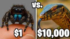 $1 vs $10,000 Exotic Pet