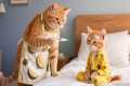Ginger Kitten Gets Sick – And the