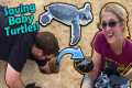 Saving Baby Sea Turtles!! 