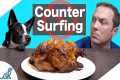 How To Stop Dog Counter Surfing -
