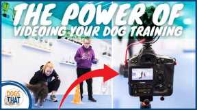 Video Your Dog Training! Complete Guide To Videoing, Reviewing & Improving Every Session