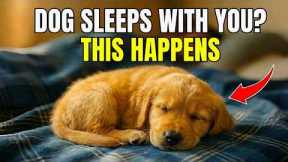 If Your Dog Sleeps in Your Bed ➡️ THIS Will Shock You!