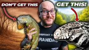 5 Reptiles You THINK You Want But Definitely DON'T!