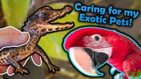 My Weekly Exotic Pet Care Routine!