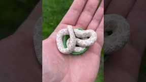 Little too big for his bed now ❤️‍🔥#animals #snake #reptile #pets #lizard #exotic