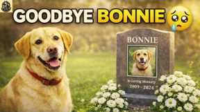 In Memory of Bonnie   Story of My Life | top best dog training techniques !