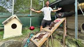 I Built NEW Enclosure For My PET OTTERS!!