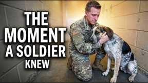 Here's What a Soldier Saw in this Dog  NO ONE Wanted 🥲