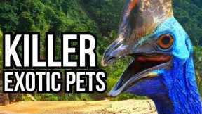 7 Exotic Pets That Ended Up Eliminating Their Owners