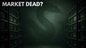 The Reptile Market Isn’t Dead — It’s Changing