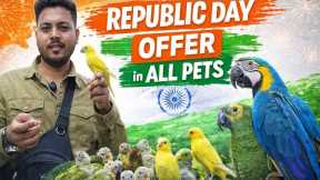 Republic Day Special | Bringing Home Happiness with Pets #birdlovers #wajidexoticpets 