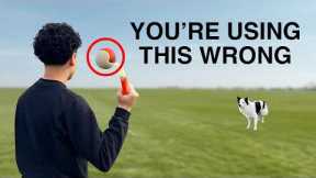 How I EXHAUST My High Energy Dog in 10 Minutes