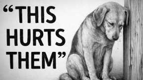 Dog Psychology | These 9 Everyday Things HURT Your Dog's Feelings!