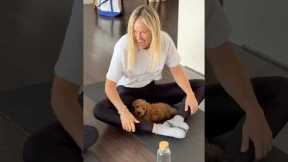 Big energy from little pups! Our Cockapoo puppy yoga class brought laughter, joy, and cuddles.