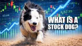 Ep 10 - Moura Dogmanship - How to teach a stock dog to do an outrun