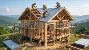 Are Monkeys Evolving? Indian Monkeys Built a Complete House in Just 24 Hours! (4K)