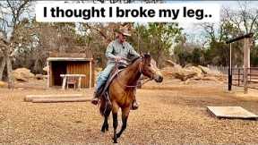 Horse has reasons to be Anxious and Panic 