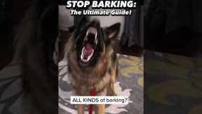 This is what I learned after 19 years training dogs to STOP BARKING 🙉 #dogtrainer #dogtraining #dog
