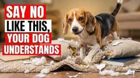 How to Make Your Dog Obey INSTANTLY — Trainers Don’t Want You to Know This TRICK