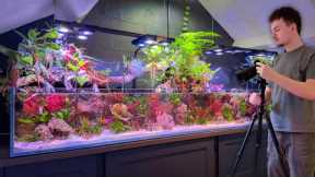 What Happened to My Saltwater Aquarium? (Big Changes Coming)