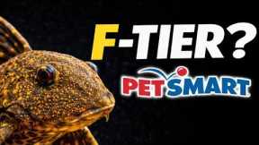 The Best and Worst Fish PetSmart Sells (Tier List)