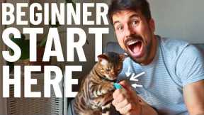 How to Train a Cat | EASY BEGINNER CAT TRAINING TUTORIAL | my secret