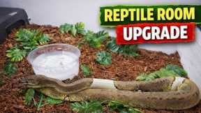 Setting Up My Reptile Room! New Enclosures for Snakes, Dragons & Skink
