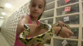 My Daughter Invades BHB Reptiles! [SNAKE PARADISE]