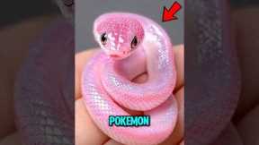 Top 3 Rarest Snake Species on Earth 😱