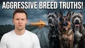 The 7 Most Aggressive Dog Breeds As A Pro Dog Trainer