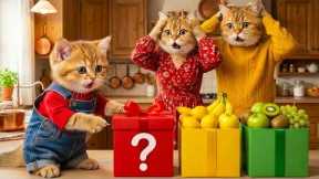 Ginger Kitten Harvests Mangoes to Earn Money for a Surprise Gift for Mama Cat 🥭🐱🎁