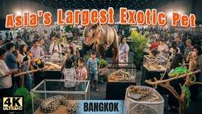 The Largest Exotic Pet Event in Asia – Bangkok, Thailand 2025