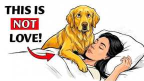 If Your Dog Climbs On You, They're Trying to Tell You This!