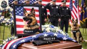 Officers Honor Last 911 Search Dog With Moving Tribute Before Being Put Down |top best dog training