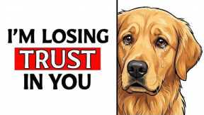 6 Daily Mistakes That Make Your Dog Lose Trust In You (STOP DOING THEM)