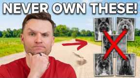 7 Dog Breeds I’d Never Own as a Professional Dog Trainer